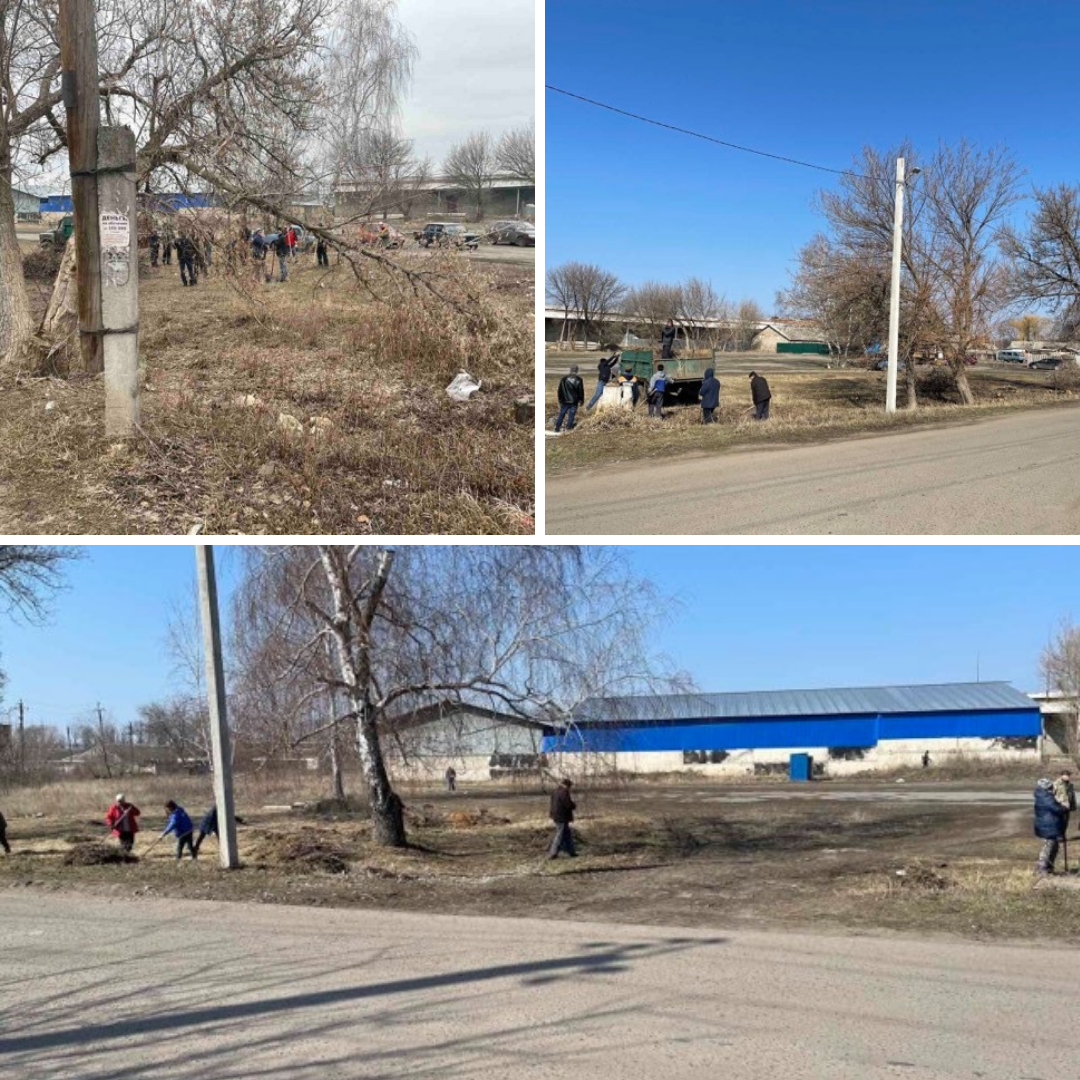 Дизайн без названия (1).png