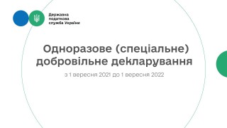Одноразове добровільне декларування доходів: що треба знати громадянам