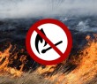 За спалювання сухостою під час дії воєнного стану передбачена кримінальна відповідальність