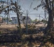Трагічний ранок у Борівській громаді 29 липня