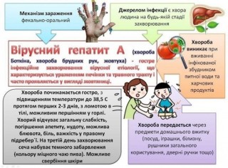 Вірусні гепатити та їх профілактика