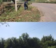 Оперативна інформація про ситуацію в Борівській громаді станом на 30 липня 2025 року