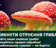 ЯК УНИКНУТИ ОТРУЄННЯ ГРИБАМИ